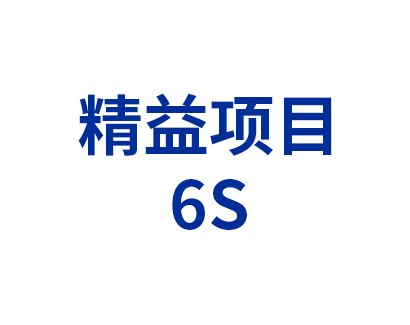 精益项目——6S